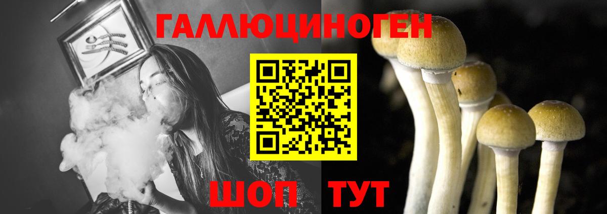даркнет сайт  Псилоцибиновые грибы Psilocybine cubensis  Вход с VPN  Касимов 